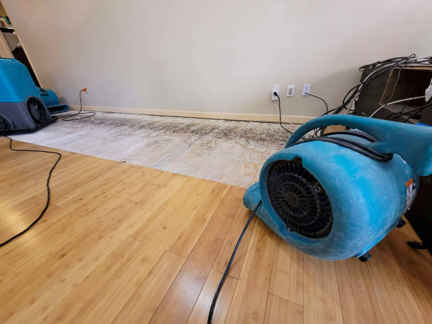 Professional Basement Flood Cleanup technician working in Adrian, MI